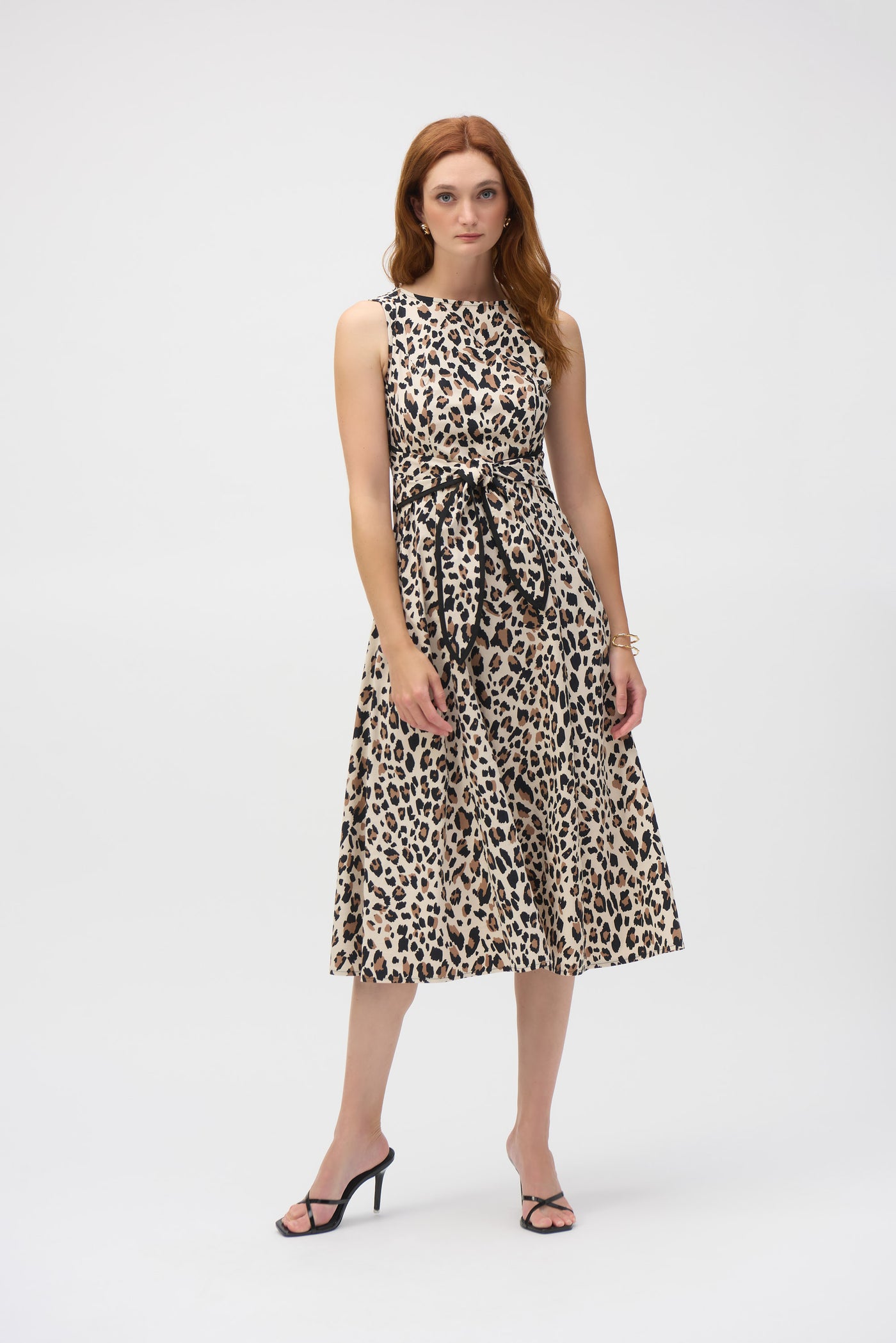 Poplin Animal Print Fit and Flare Dress